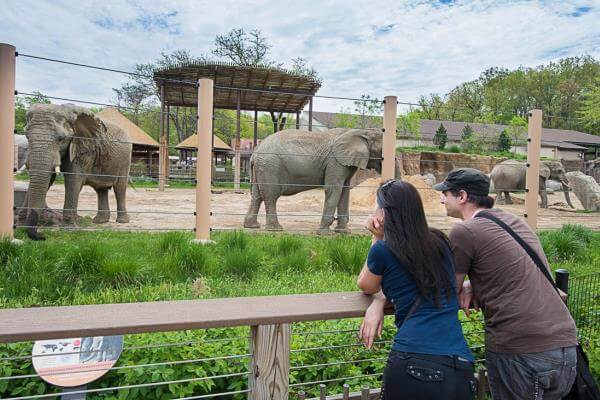 Qué significa soñar con un zoologico / What it means to dream of a zoo