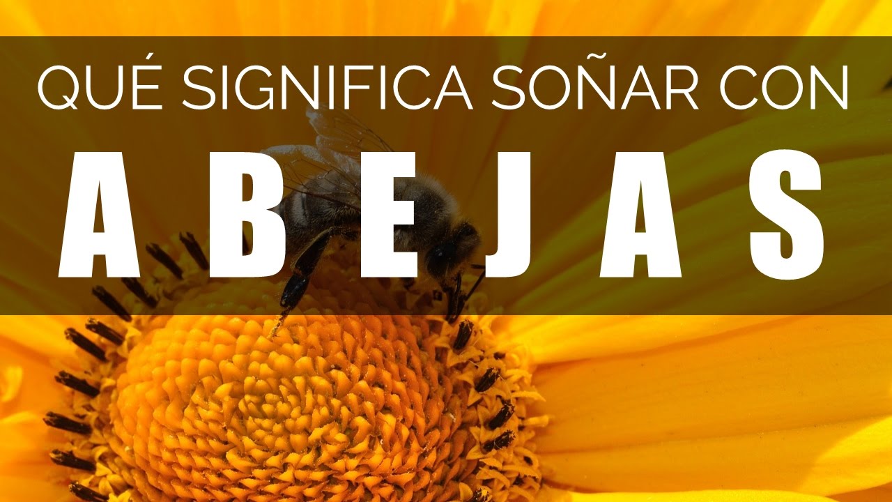 Significado de Soñar con Abejas ??