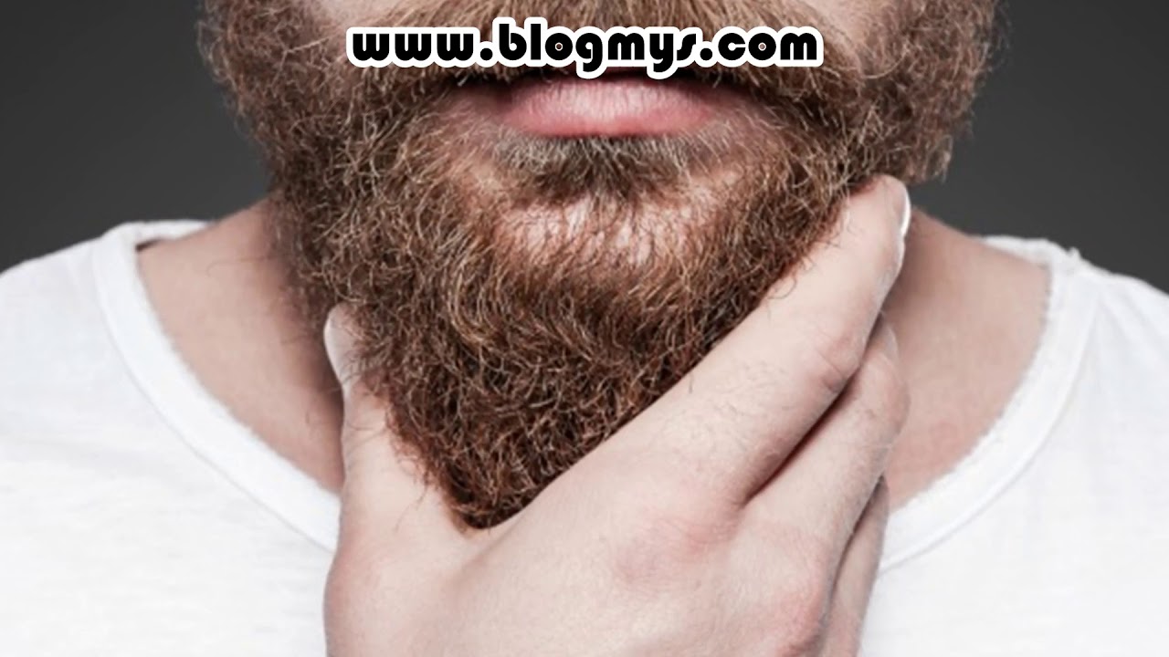 Significado de Soñar con Barba – Significado de Sueños