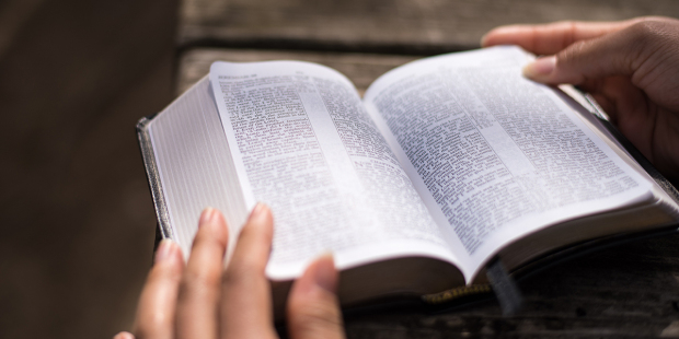 Que Significa Soñar con biblia mojada – Significado de Sueños