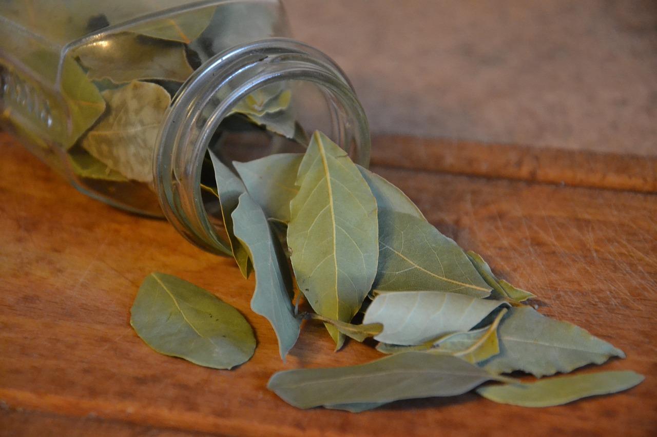 Qué significa soñar con hojas de laurel